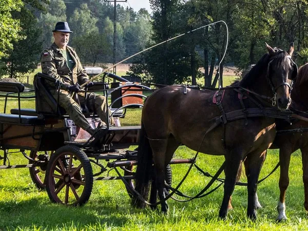 Przejażdżki bryczką