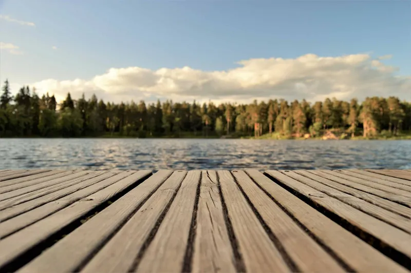 board-boardwalk-bridge-421759